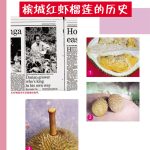 槟城红虾榴莲的历史
