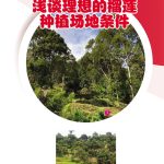 浅谈理想的榴莲种植场地条件