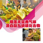 榴莲丰富香气味源自酯与硫磺化合物