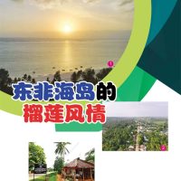 东非海岛的榴莲风情