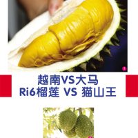 越南VS大马  Ri6榴莲VS猫山王