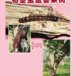 钻茎虫危害果树