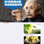 天然授粉媒介对4种热带水果的市值效益评估