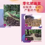 零化肥施放却取得一样好产量的方法