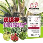 获原钾提供钾元素及解除土酸促进作物长势与收成