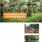 大马棕油局研究所得之沙巴州油棕施肥建议