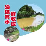 油棕有水好收成