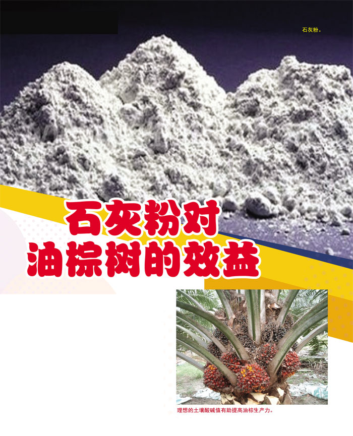 You are currently viewing 石灰粉对油棕树的效益