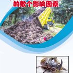 犀角甲虫数量增加的数个影响因素