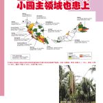 茎基腐病传播广泛 小园主领域也患上