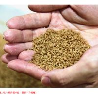 超级小虫大食怪, 厨余鸡粪极速秒杀,“生物精炼”变饲料及肥料 