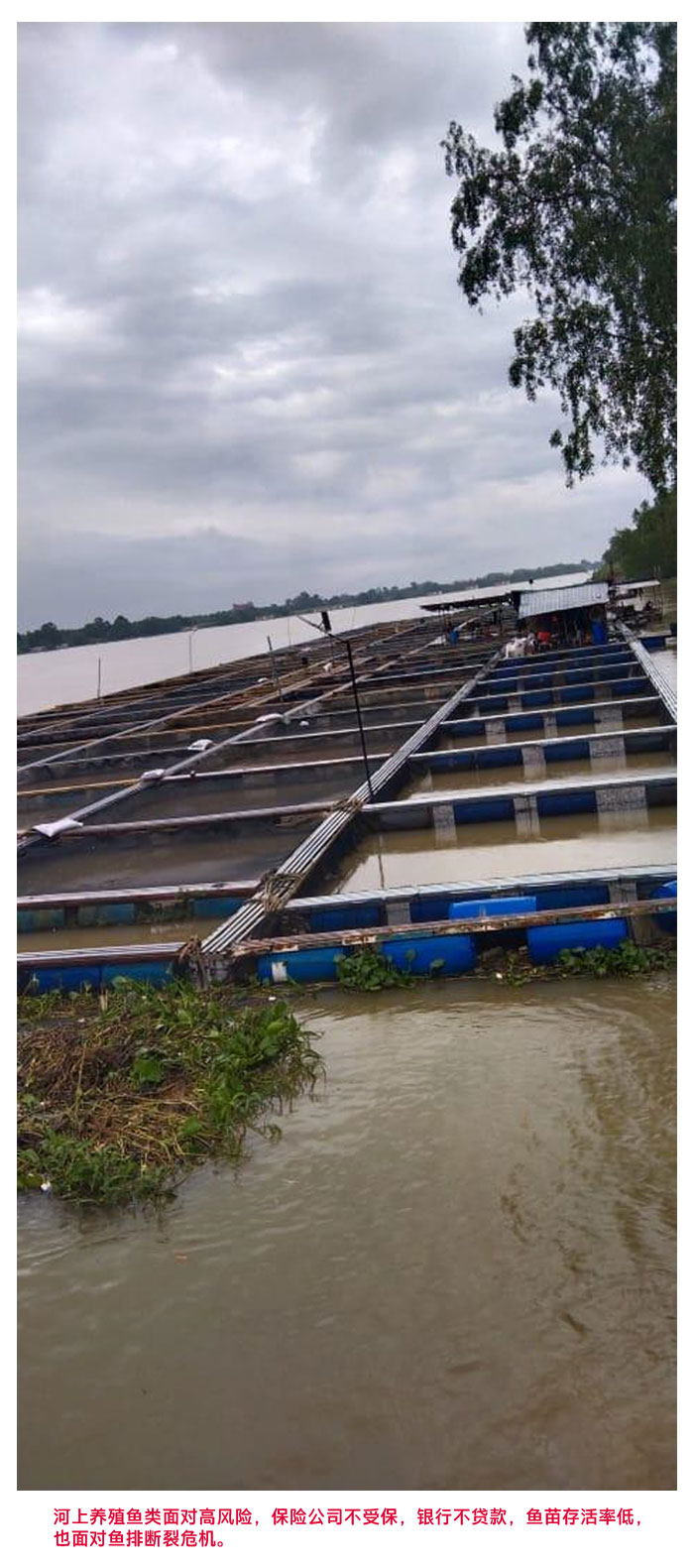 Read more about the article 霹河14家养鱼场获临时地契 养殖商投资更有保障