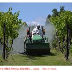 杀虫剂：农业化学品即使剂量不至于致命，也会使昆虫生病 —— 尤其是在炎热的天气里