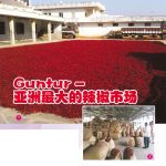 Guntur-亚洲最大的辣椒市场