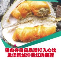 果肉夺目高品质打入心坎 见识槟城坤宝红肉榴莲