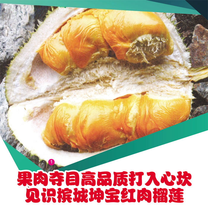 Read more about the article 果肉夺目高品质打入心坎 见识槟城坤宝红肉榴莲
