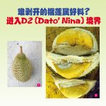 难剥开的榴莲属好料?进入D2(Dato’Nina)境界