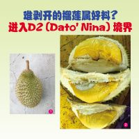 难剥开的榴莲属好料？进入D2(Dato’Nina)境界