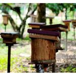 银蜂蜜市场庞大待开发 养蜂人盼政府加强宣传推广