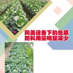 网盖设备下的包菜肥料用量明显减少