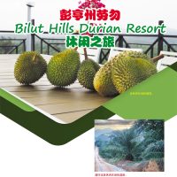 彭亨州劳勿 Bilut Hills Durian Resort 休闲之旅