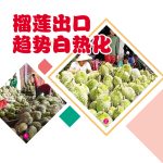 榴莲出口趋势白热化