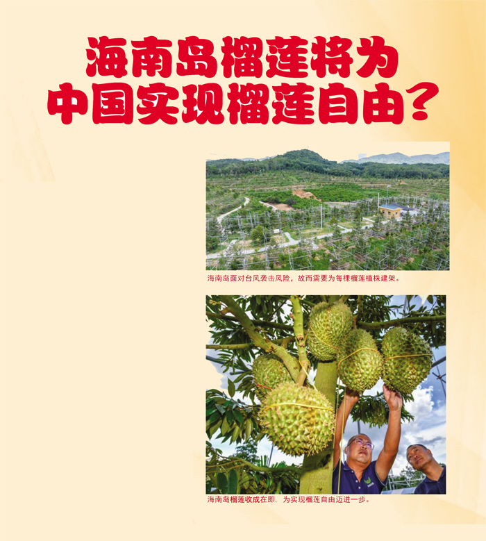 You are currently viewing 海南岛榴莲将为中国实现榴莲自由?