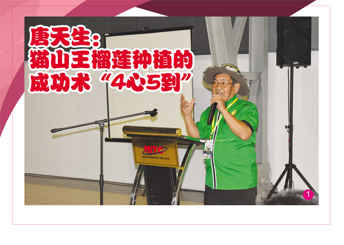 Read more about the article 唐天生：猫山王榴莲种植的成功术“4心5到”