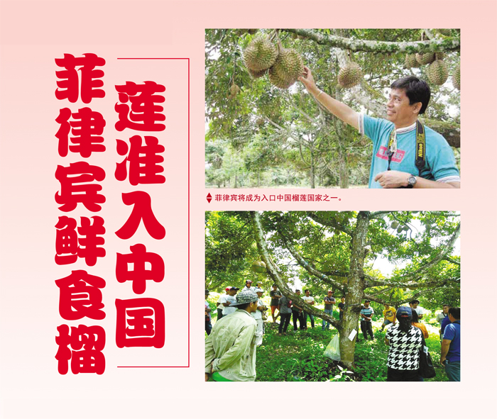 You are currently viewing 菲律宾鮮食榴莲准入中国