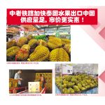 中老铁路加快泰国水果出口中国供应量足，市价更实惠!