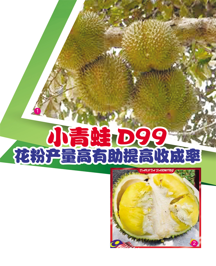 You are currently viewing 小青蛙D99花粉产量高有助提高收成率