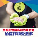 生物肥营造有利的地肥力油棕作物受益多