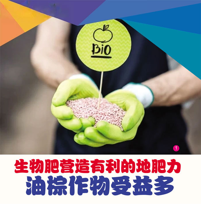 Read more about the article 生物肥营造有利的地肥力油棕作物受益多