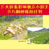 三大因素影响独立小园主参与翻种援助计划