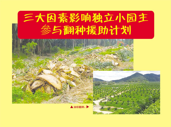 You are currently viewing 三大因素影响独立小园主参与翻种援助计划