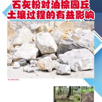 石灰粉对油棕园丘土壤过程的有益影响