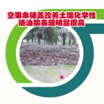 空果串铺盖改善土壤化学性使油棕表现明显提高