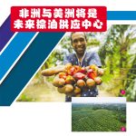 非洲与美洲将是未来棕油供应中心