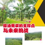 棕油需求的支撑点与未来挑战