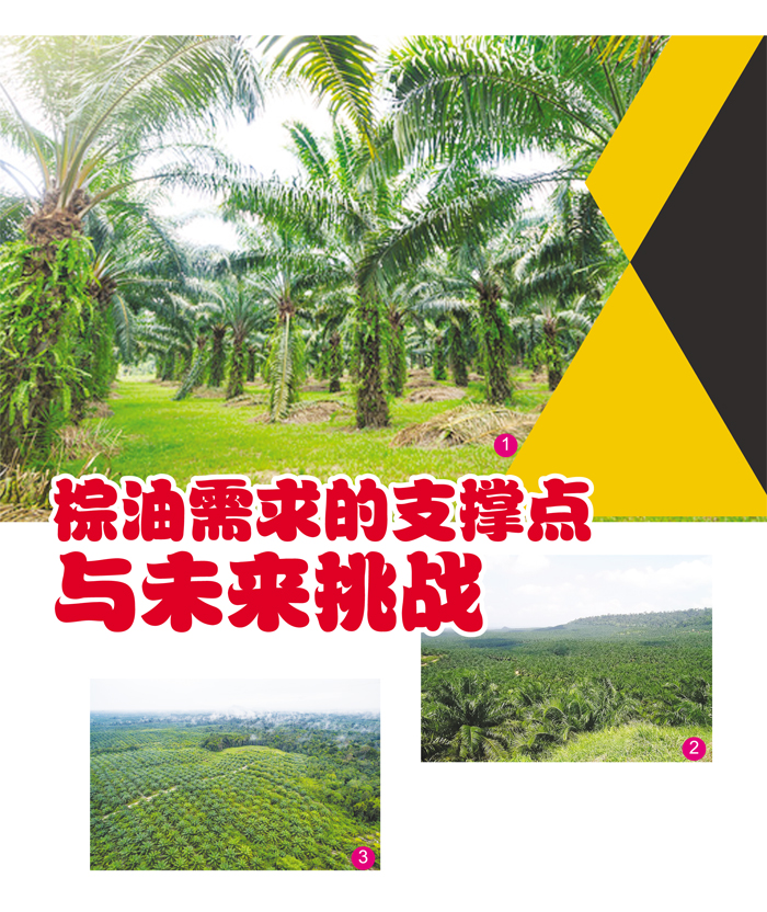You are currently viewing 棕油需求的支撑点与未来挑战