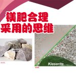 镁肥合理采用的思维