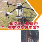 遥控无人机能否有效控制袋虫害?