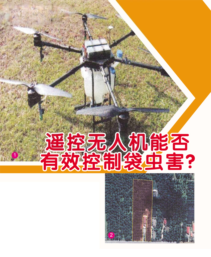 Read more about the article 遥控无人机能否有效控制袋虫害？