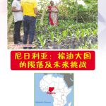 尼日利亚:棕油大国的陨落及未来挑战