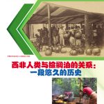 西非人类与棕榈油的关系：一段悠久的历史