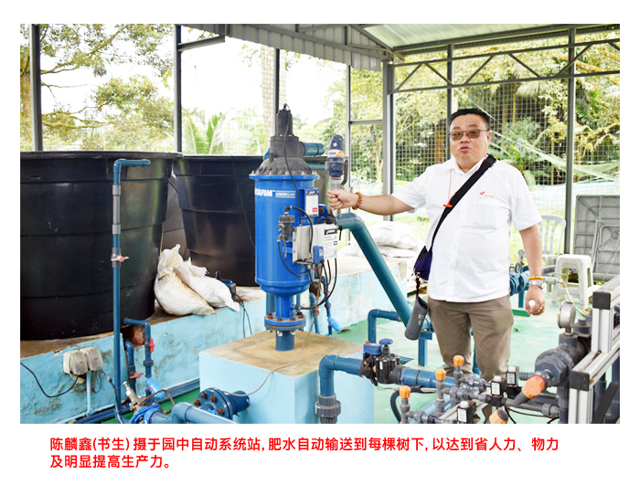 Read more about the article 顶好水果创办人兼执行董事陈麟鑫(书生):榴莲种植回报高于油棕12倍 新园主需投入15年方见成效