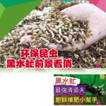 环保昆虫黑水虻前景看俏