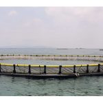 挪威的海洋网箱养殖技术