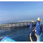 海洋网箱未来十年的发展