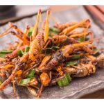 养殖昆虫 “爬”上餐桌 你敢吃吗？